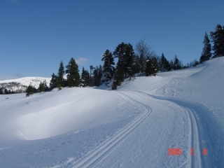 Pistas de la estacion